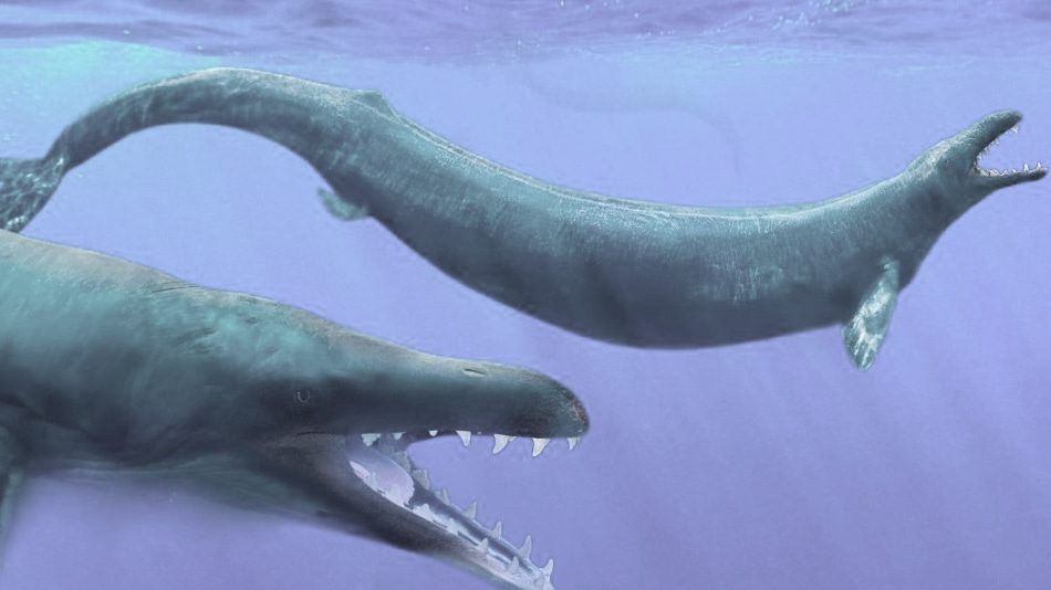 Basilosáuridos: Representación de ballenas arqueocetos en transición evolutiva